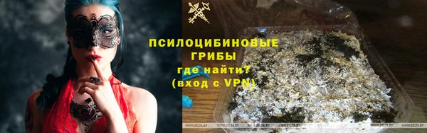 хмурый Бронницы