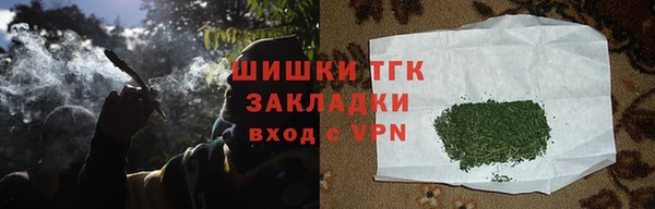 хмурый Бронницы