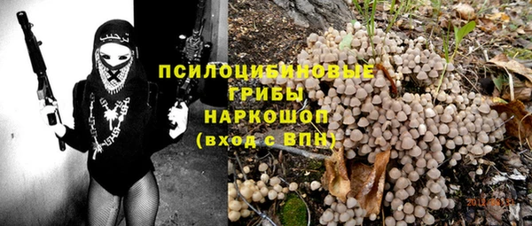 дживик Бородино