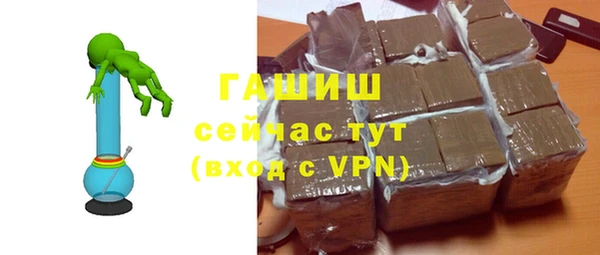 дживик Бородино