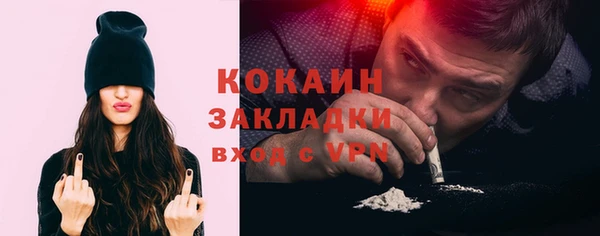дживик Бородино