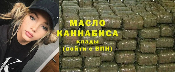 дживик Бородино