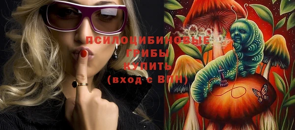 дживик Бородино