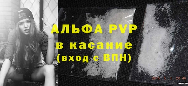 дживик Бородино